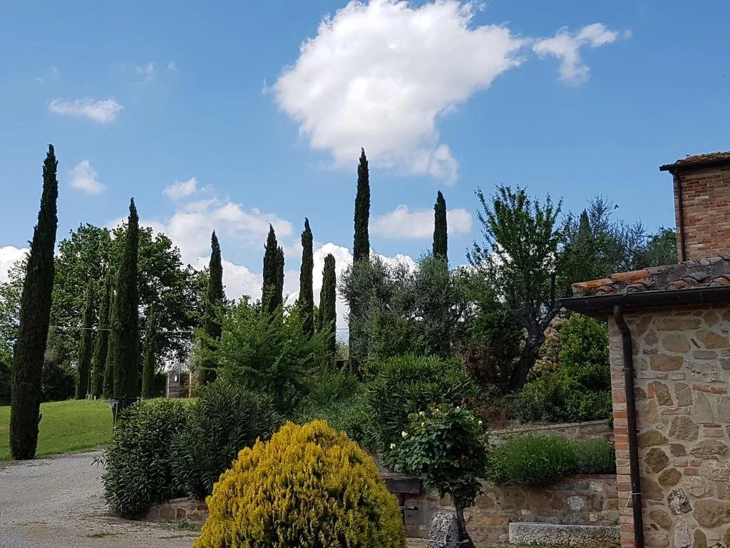 Agriturismo Colle Di Mezzo - Général