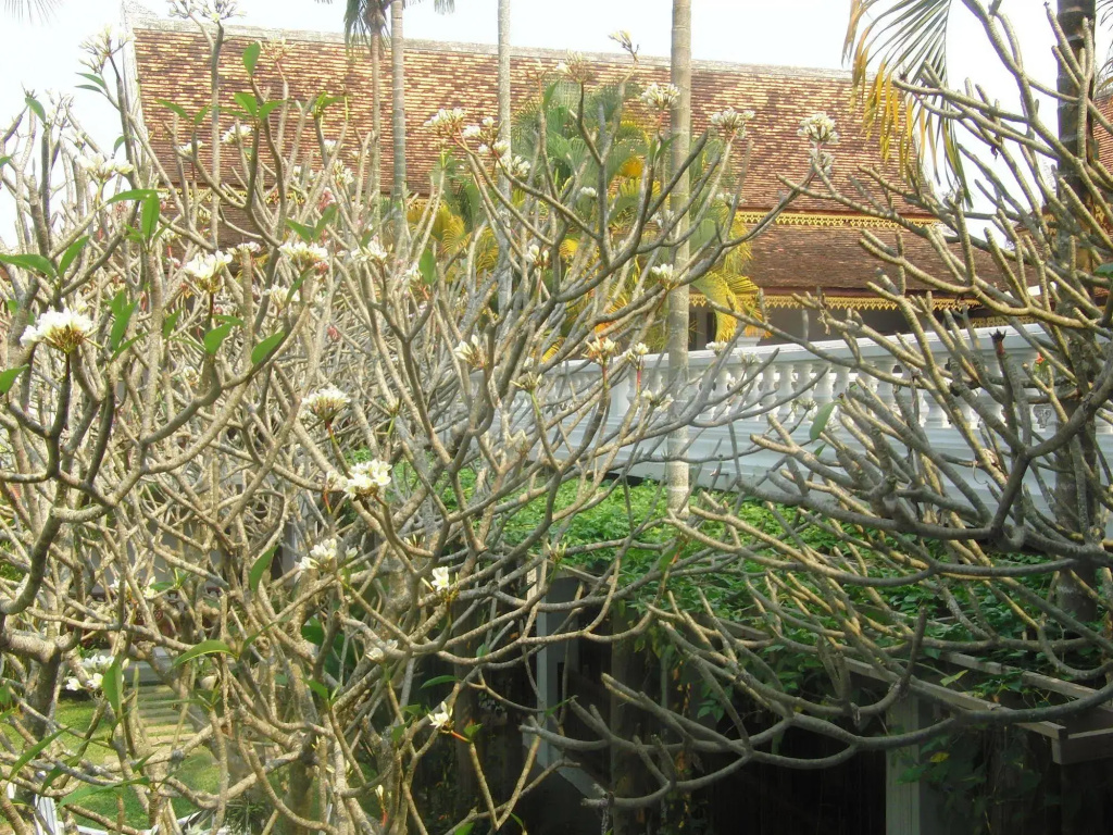 Villa Chitchareune Boutique Hotel