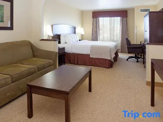 Holiday Inn Denver-Parker-E470/Parker Road by IHG - Chambres