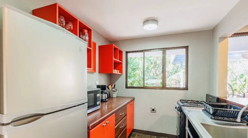 Relaxing Sound of River Birds Squirrels - фото 15