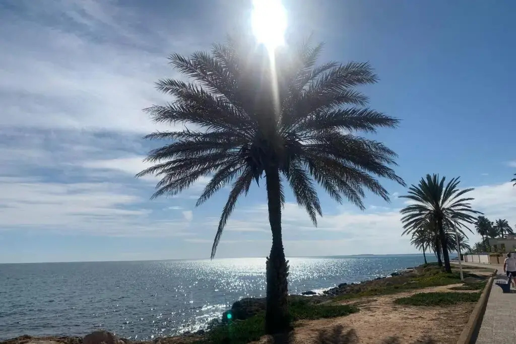Alicante(Santa Pola), Bord de plage, 3 chambres