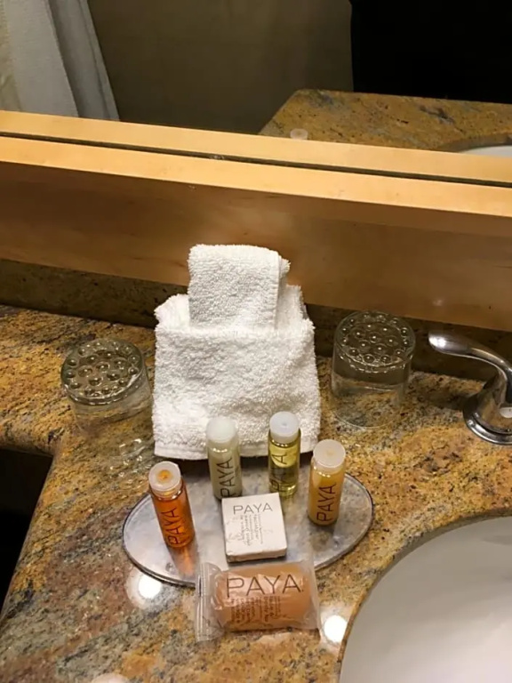 Whistler Village Inn And Suites - Chambres