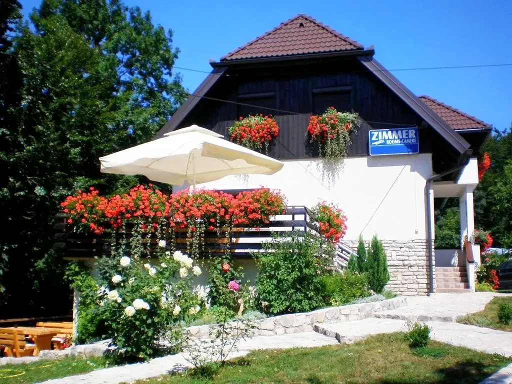 House Sankovic - Général