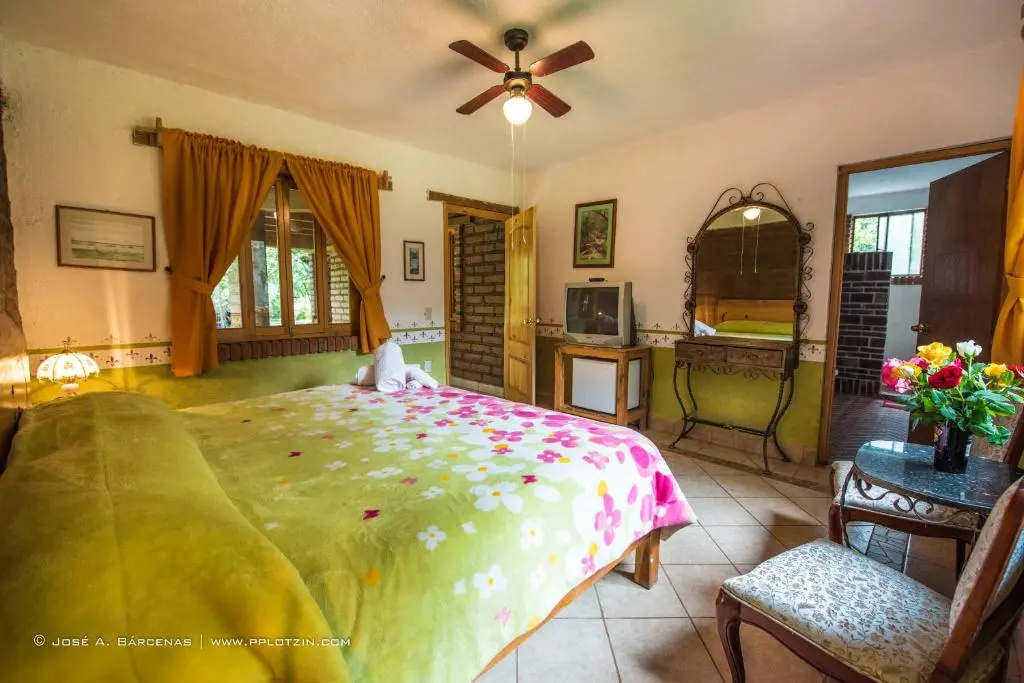 Standard room with garden view