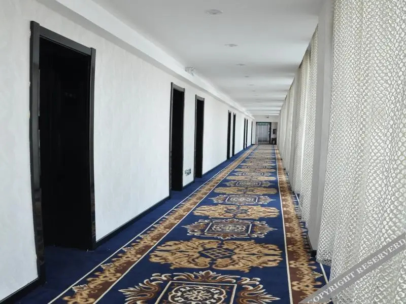 Manzhouli Ao Long Business Hotel - Général