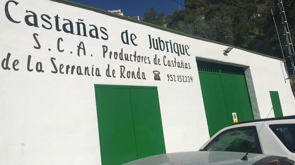 Júbrique