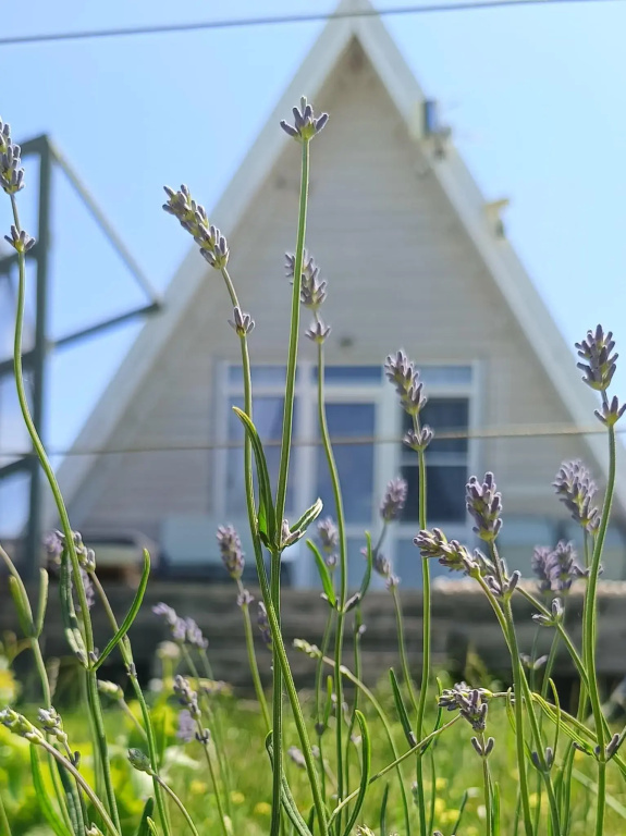 Standard Cottage