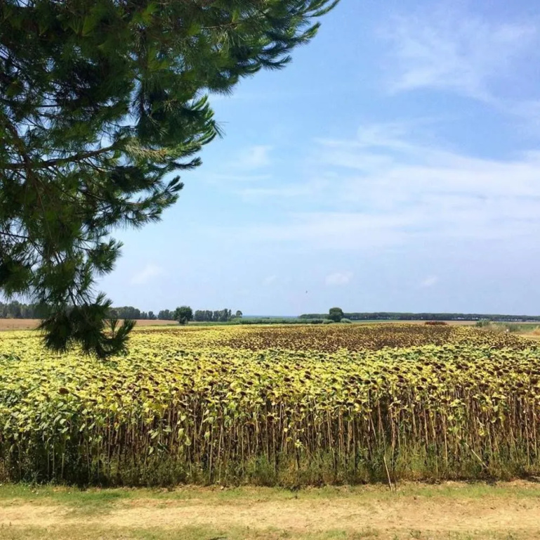 Podere Giulio