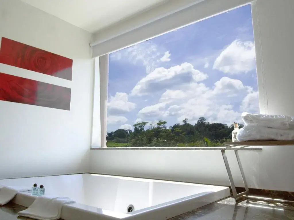 Deluxe Double room (full double bed)