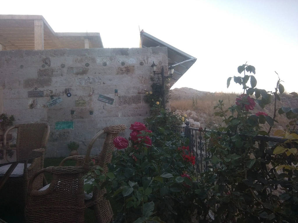 Balcony & Terrace
