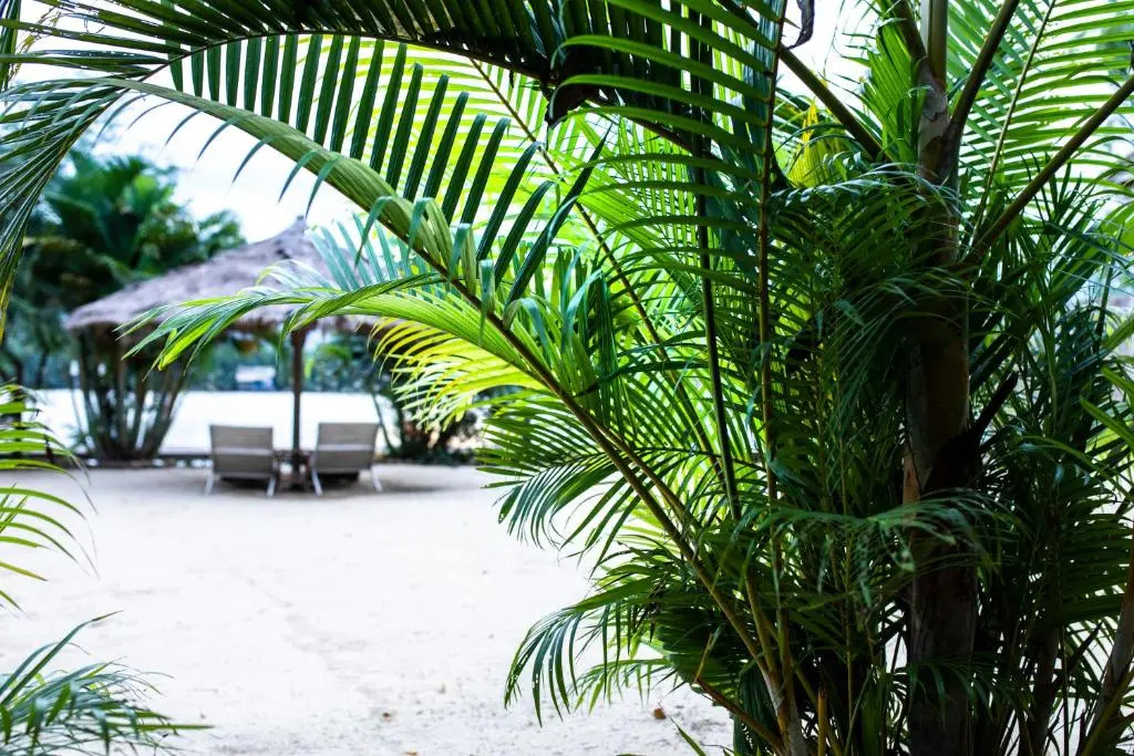 Sabay Beach