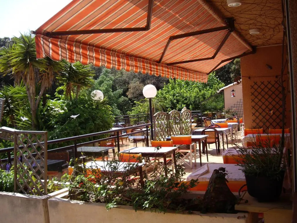 Hôtel Les Palmiers - Général