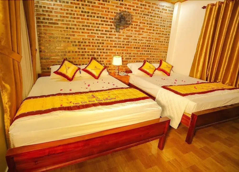 Balcony & Terrace