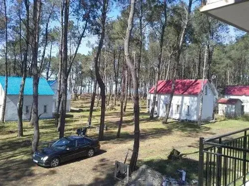 Homestay Kvantaliani Shekvetili