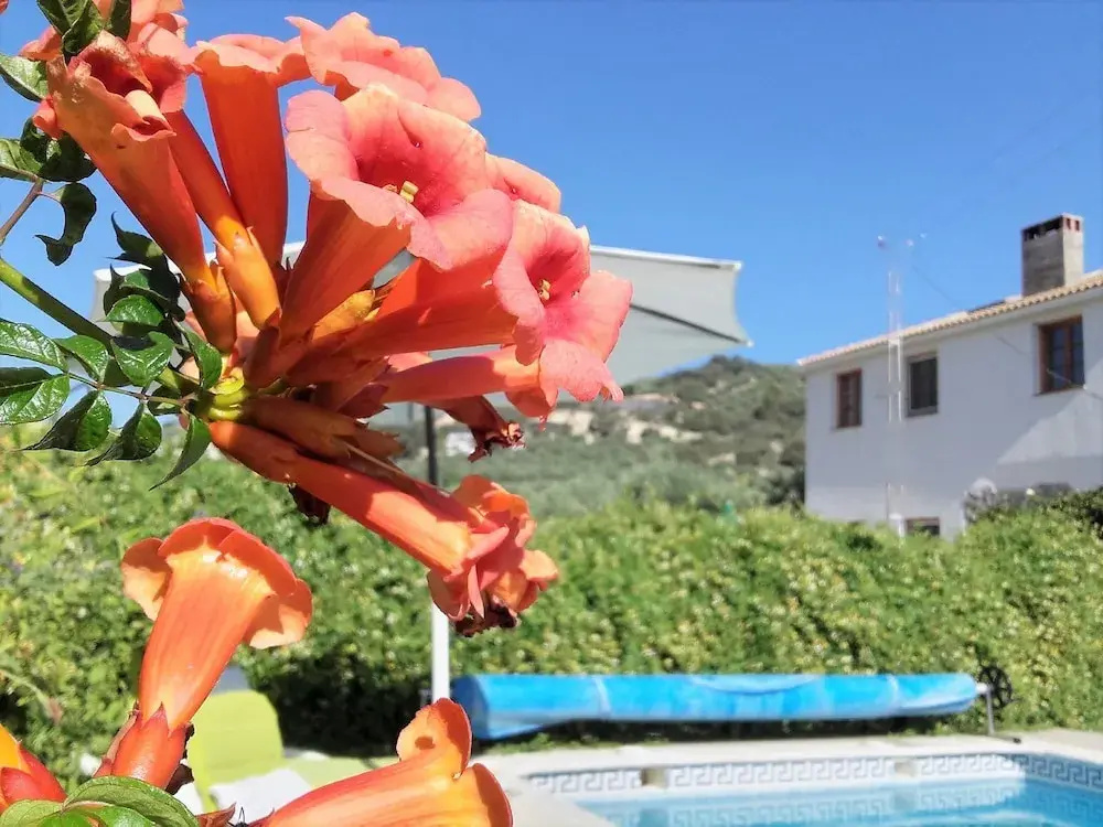 Cortijo Berruguilla Casa Rural - Général