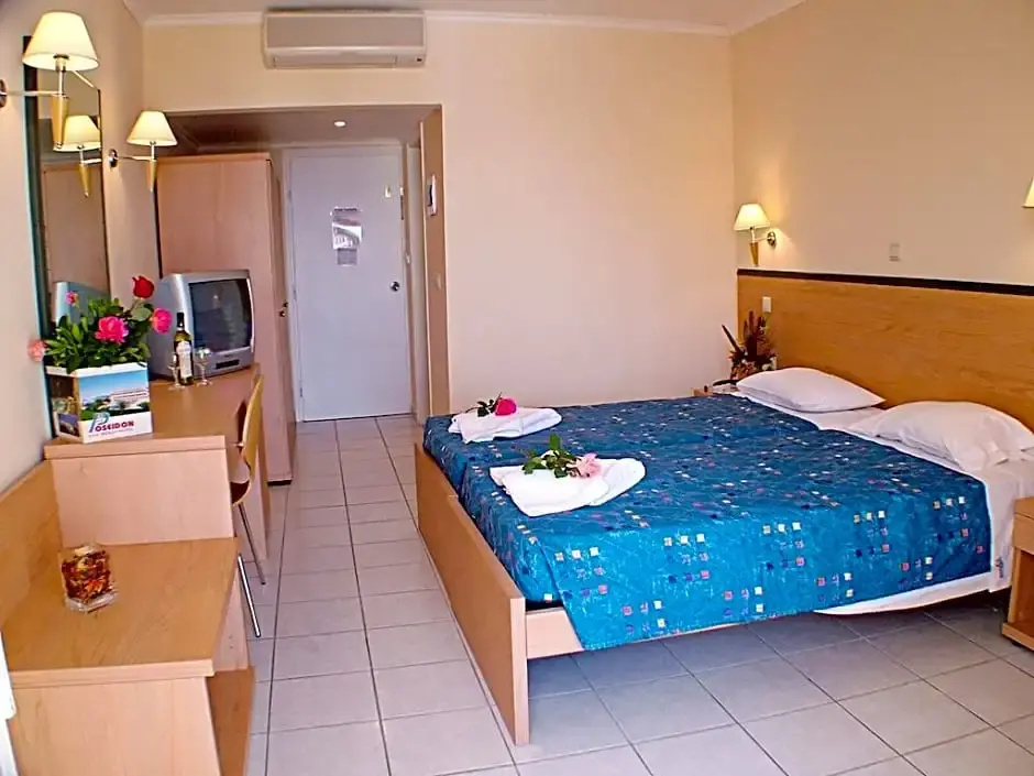 Standard Double room (full double bed)