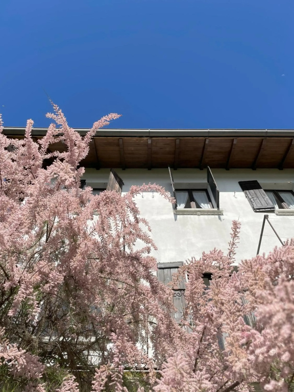 Terrazza sul lago