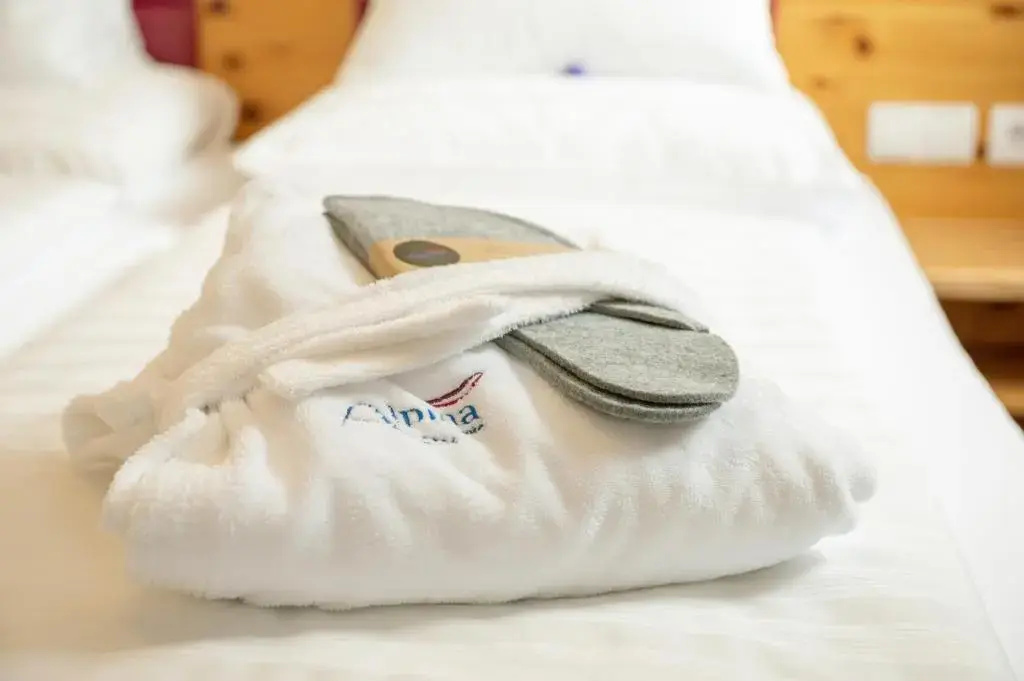 Hotel Alpina - Chambres