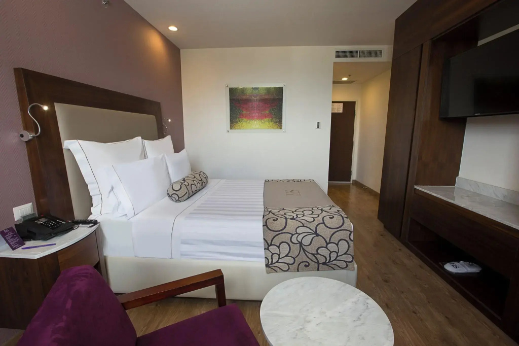 HS HOTSSON Hotel Querétaro - Général