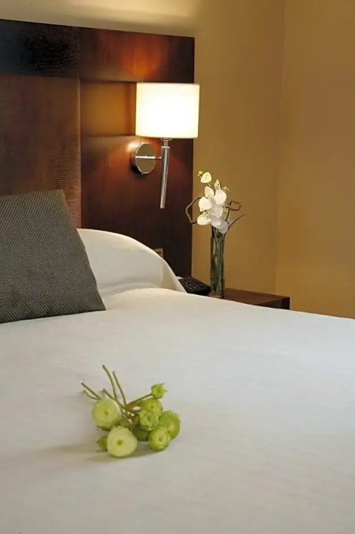 Hotel Villa de Aranda - Chambres