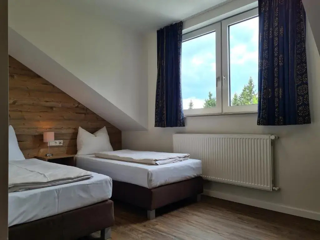 Superior Double room (twin beds)