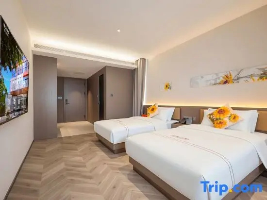 Standard Double room (twin beds)