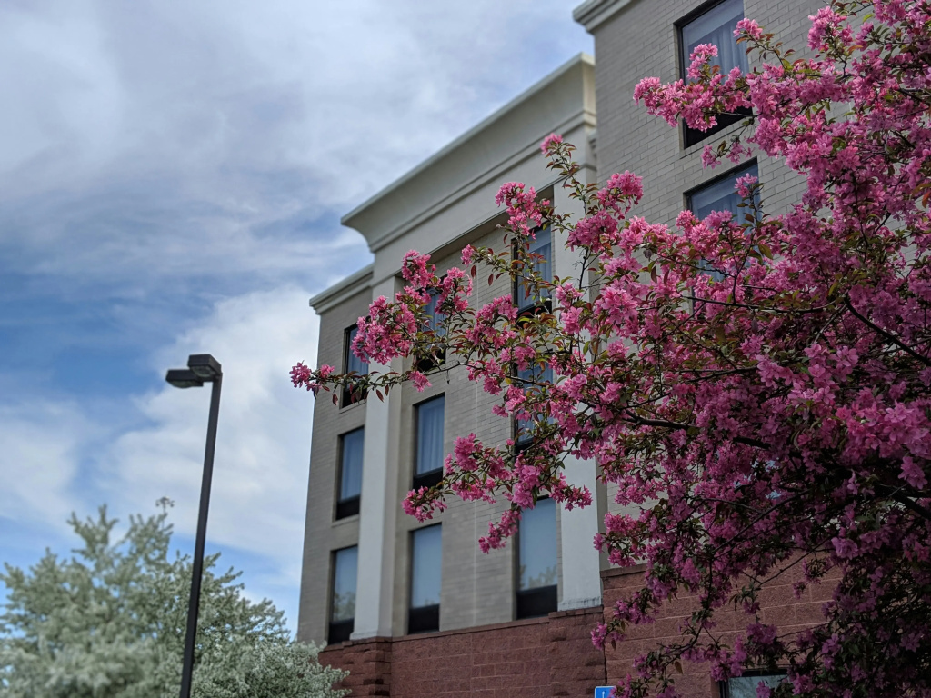 Hampton Inn & Suites Cincinnati-Union Center