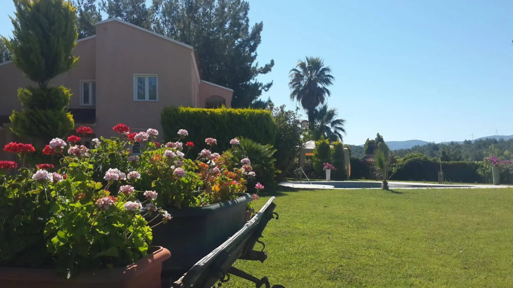 Peninsula Pineclub Boutique Hotel - Général