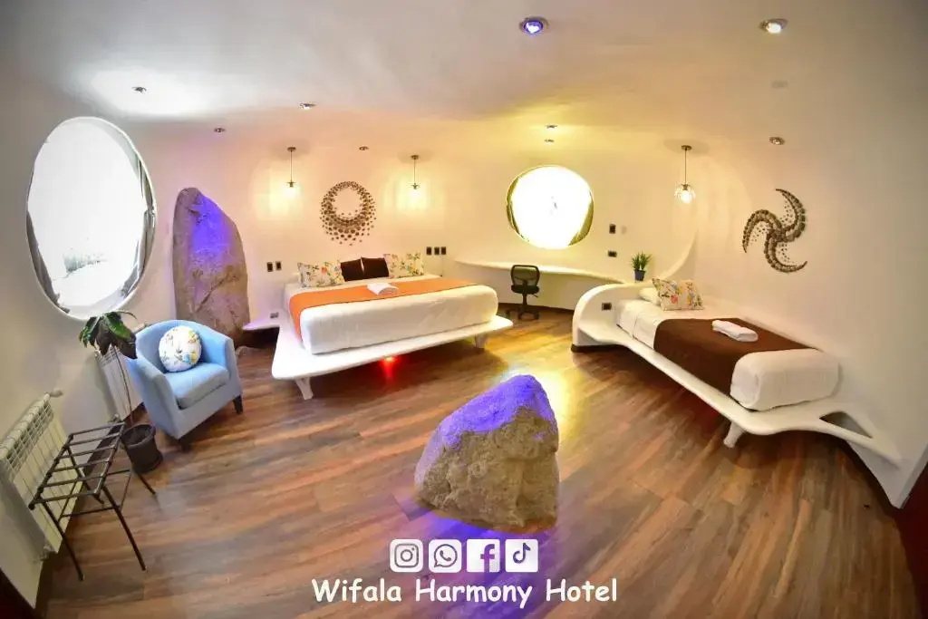 Superior Double room (full double bed)