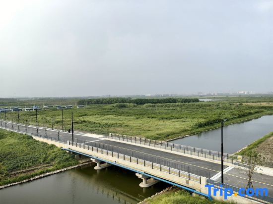 Nianshiba Apartment (Lingang Avenue Branch)