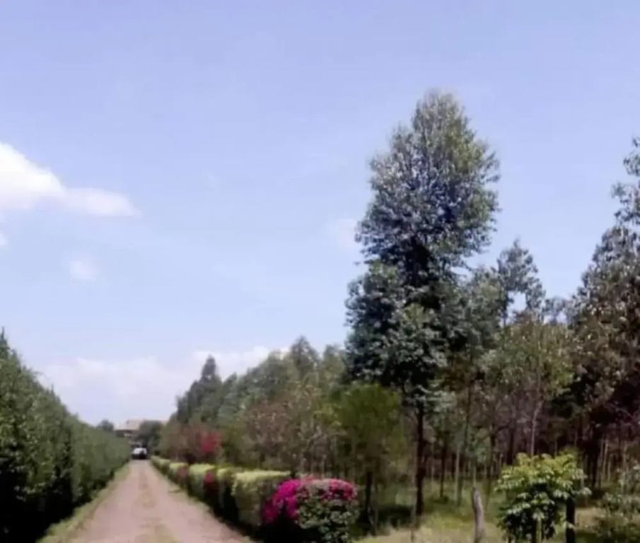 Stay.Plus Marura Holiday Villa Nakuru