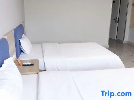Superior Double room (twin beds)