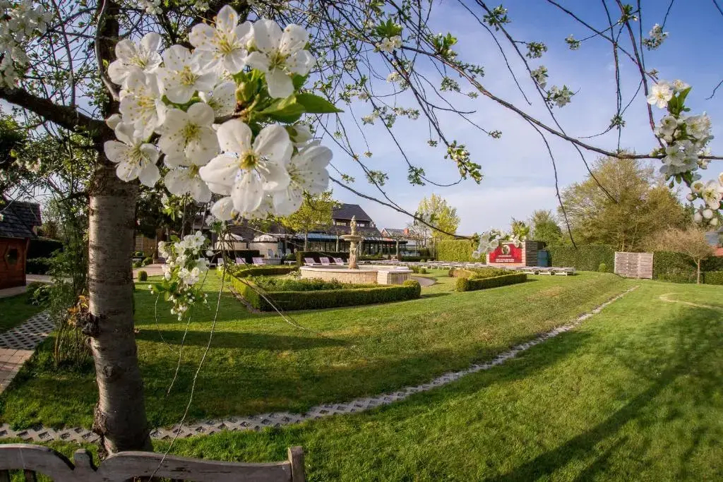 Hotel Gowell Kuur- en Wellness Yolande Buekers - фото 5