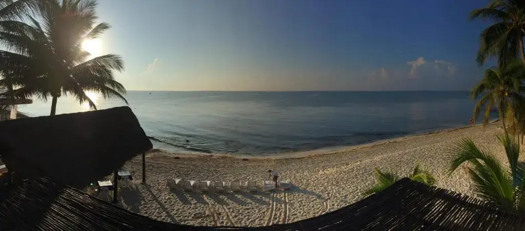 Beach & Waterfront