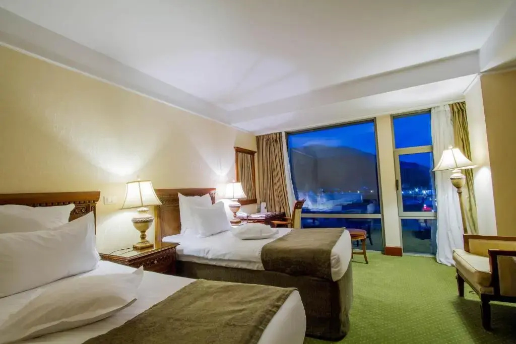 Standard Double room (twin beds)