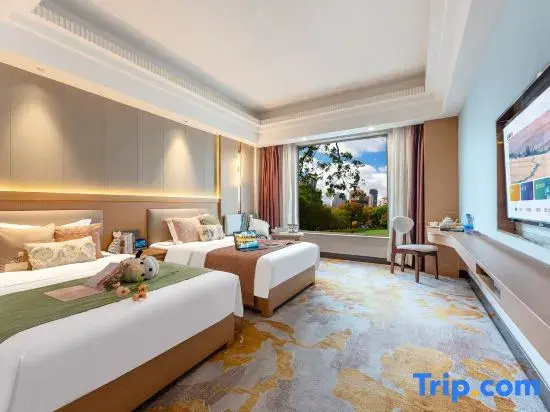 Comfort Double room with city view (twin beds)