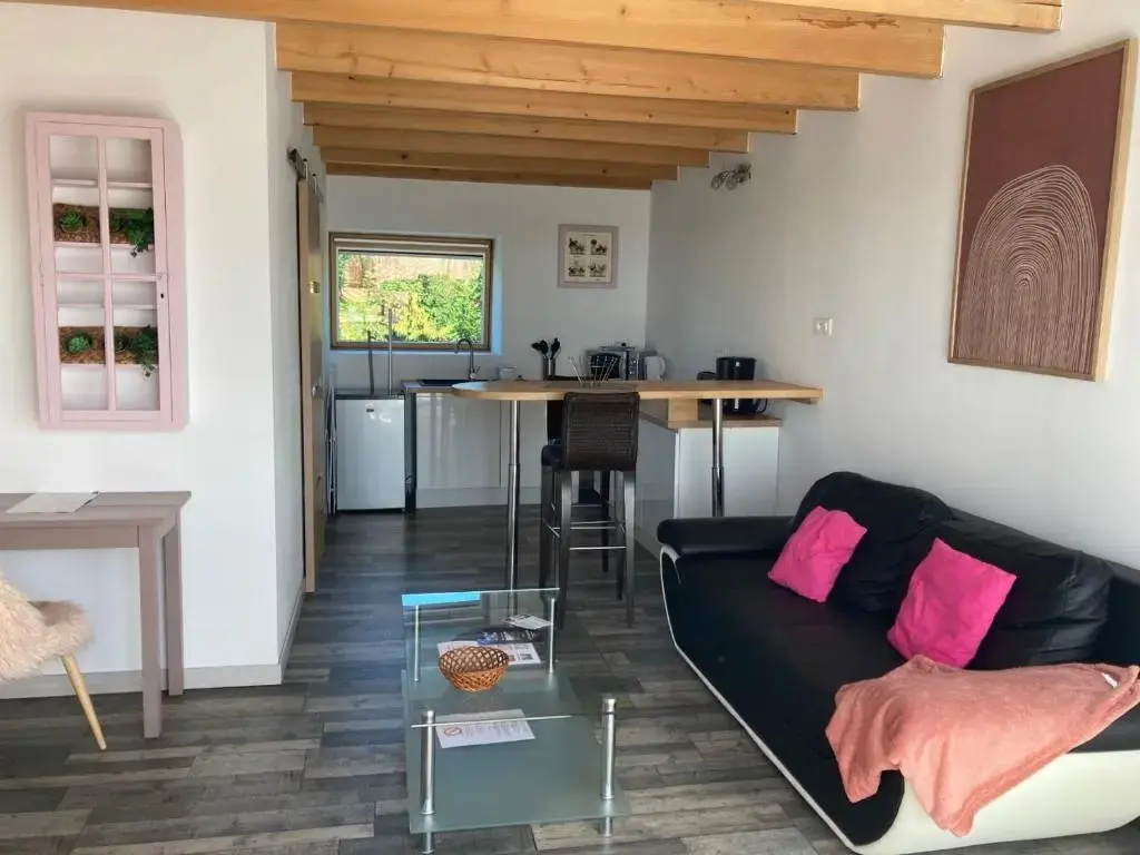 Duplex Apartment