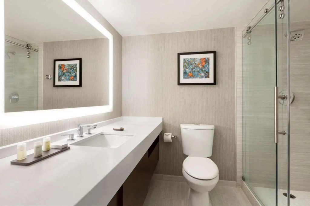 Embassy Suites by Hilton Chicago Lombard Oak Brook - Chambres
