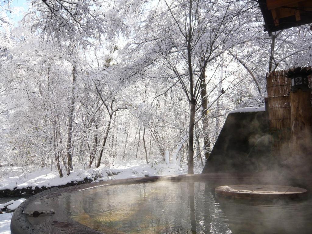 Yamazatonoiori Soene 사진 2