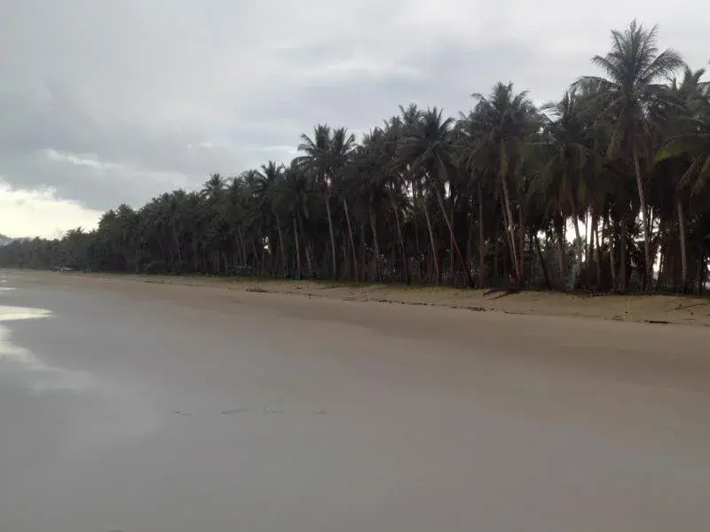 Beach & Waterfront