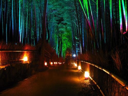 Hanatsuzuri Kyoto 사진 13