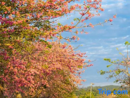 Yangchun Yunshan Green Lake Hot Spring Homestay