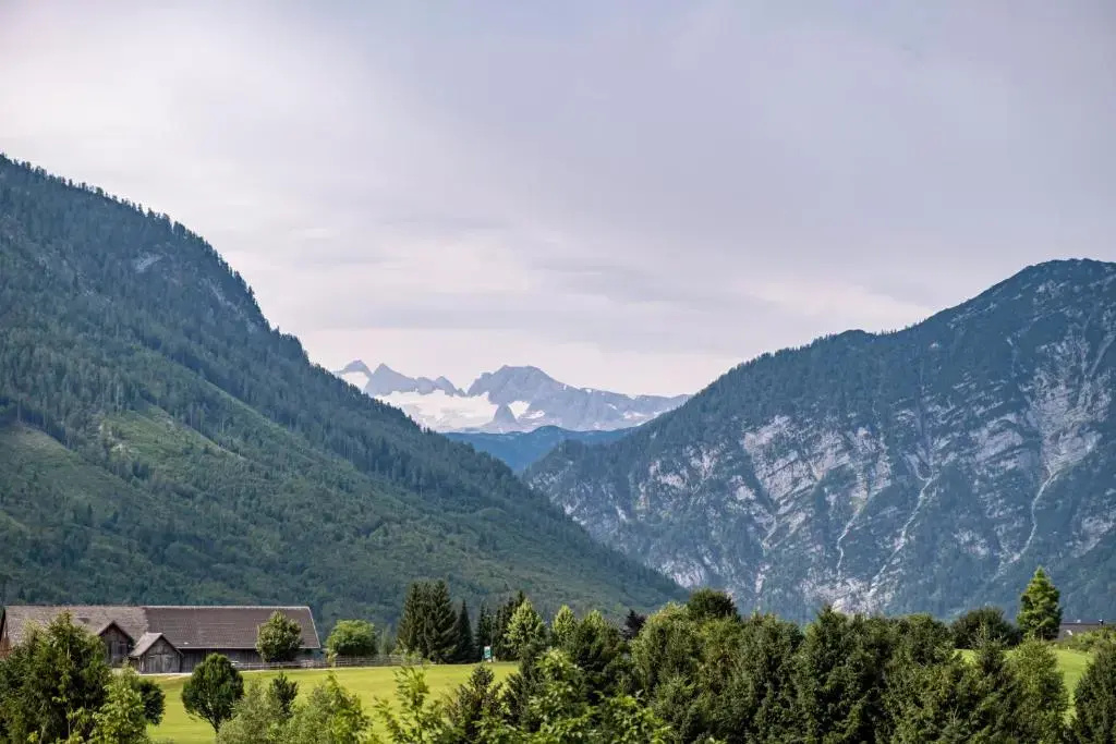 Narzissen Vital Resort - Chambres