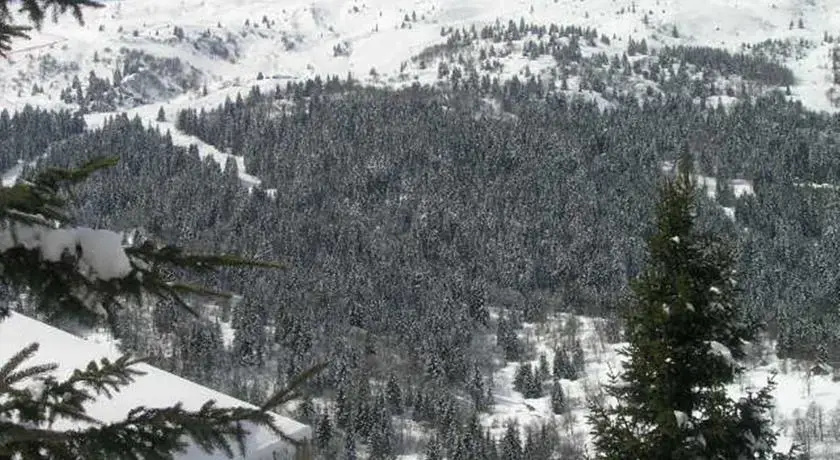 Chalet Manekineko