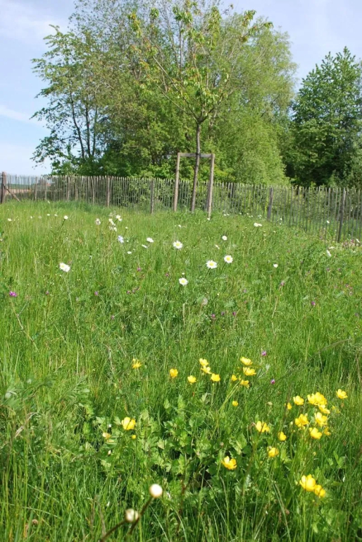 Dimensions M - фото 12