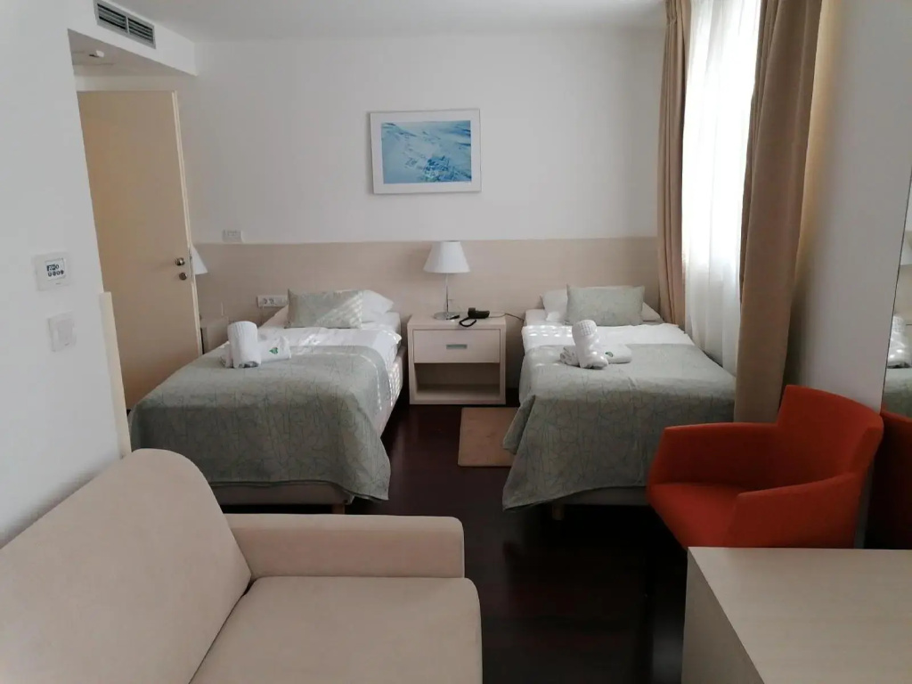 Hotel Borovnik - Général