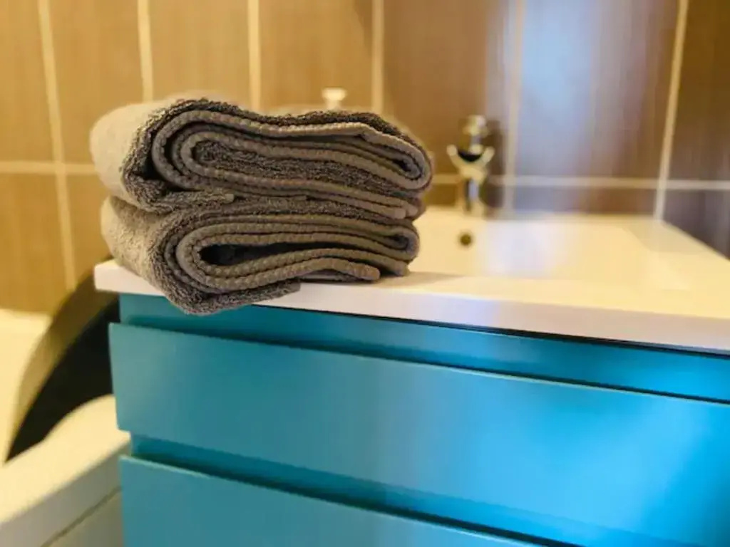 Voir la photo 1 — Le Zen appartement balnéo Grenoble