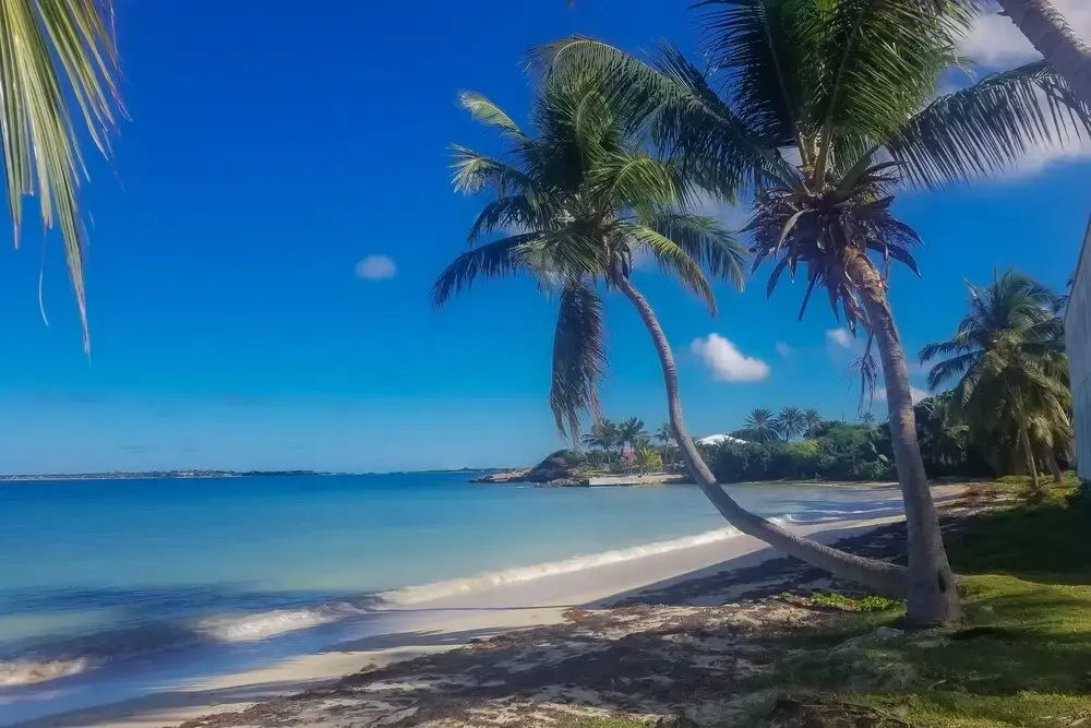 Beach & Waterfront