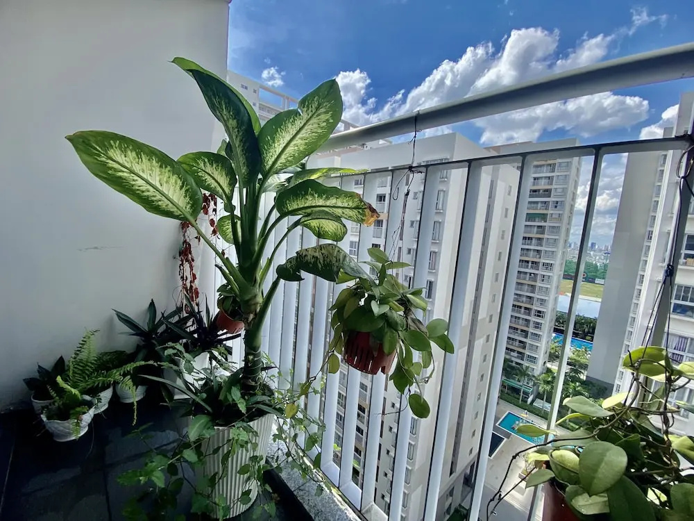 Tony Apartment Scenic Valley