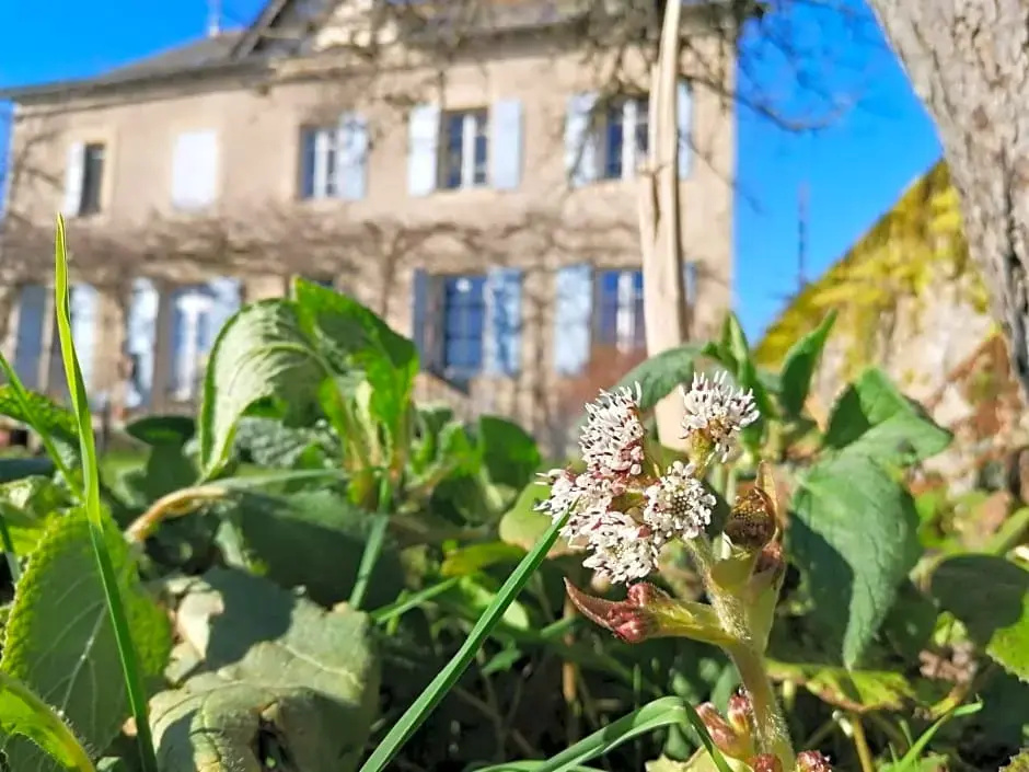 Le Temps Serein